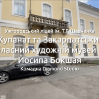 Відеопроєкт наших ліцеїстів: підтримаймо разом!